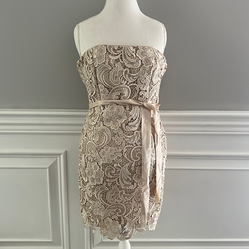 Adrianna Papell embroidered strapless dress